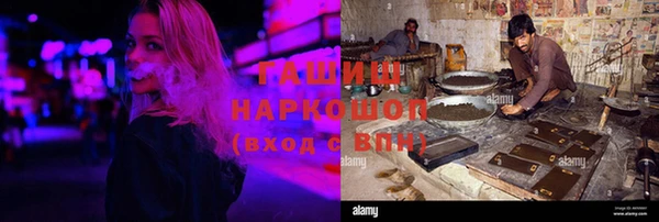 хмурый Алексин