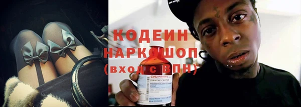 хмурый Алексин