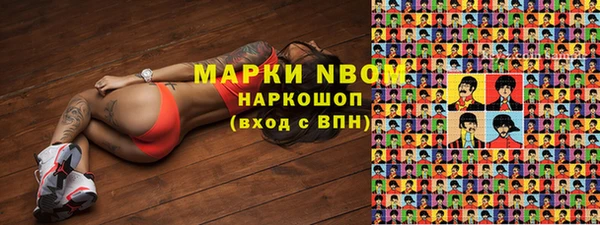 хмурый Алексин