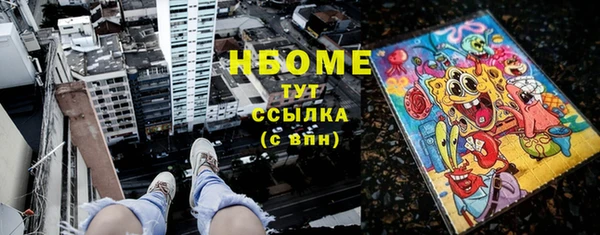 хмурый Алексин