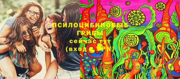 хмурый Алексин