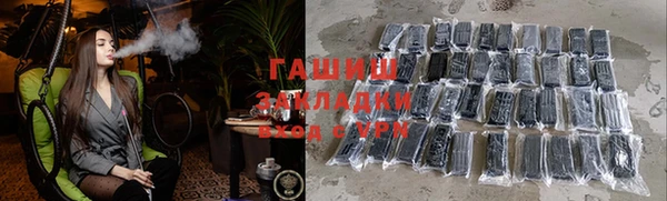 хмурый Алексин