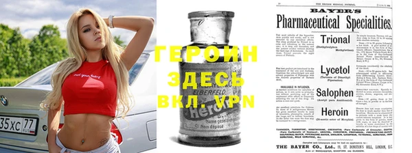 хмурый Алексин